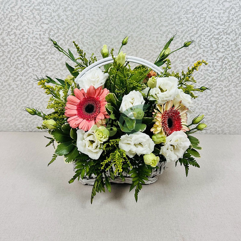 Весенние герберы в корзине